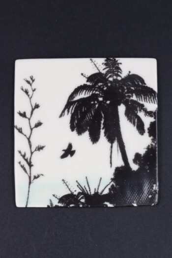 Tui in native bush